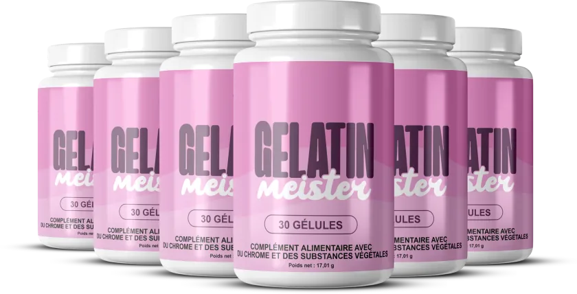 Gelatin Meister — pack famille 6 pots
